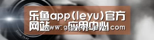 公司动态
