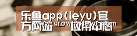 行业资讯