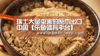 瑞士大量虫害的原木出口中国【乐鱼体育平台】(图3) 乐鱼体育app