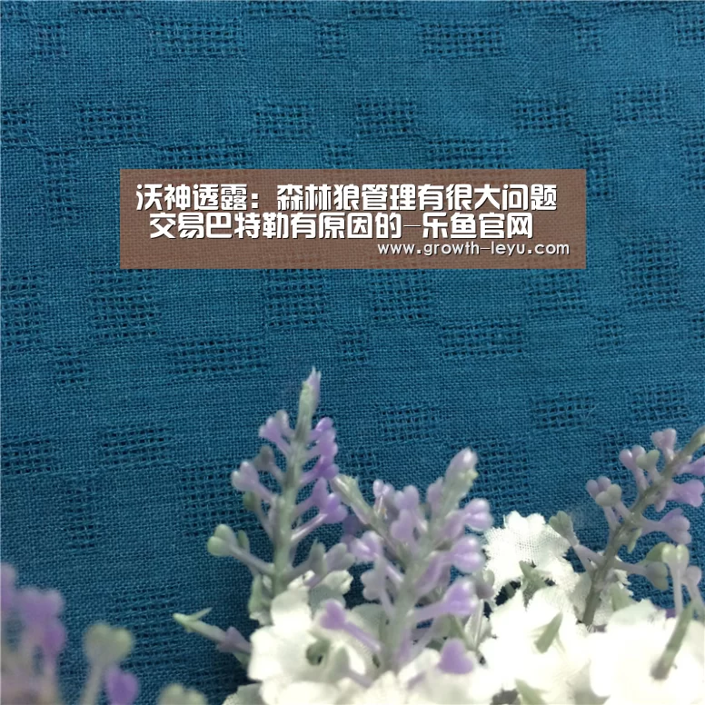 沃神透露:森林狼管理有很大问题 交易巴特勒有原因的-乐鱼官网(图3) 乐鱼app