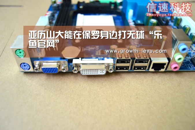 亚历山大能在保罗身边打无球“乐鱼官网”(图2) 乐鱼官网