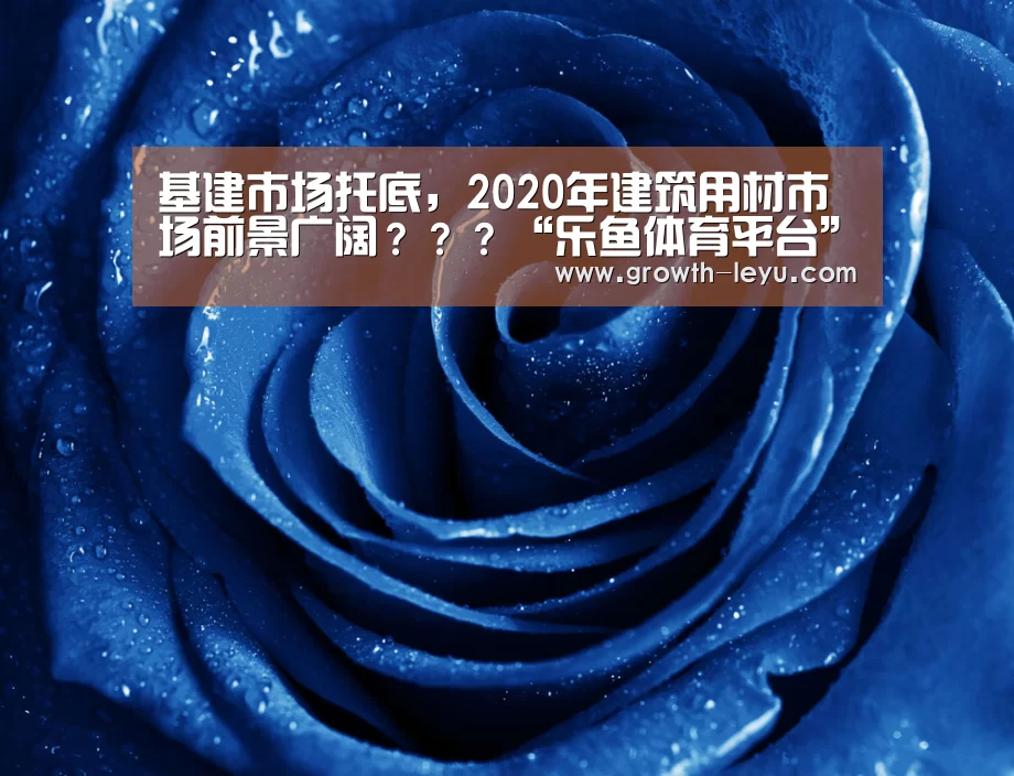 基建市场托底,2020年建筑用材市场前景广阔???“乐鱼体育平台”(图2) 乐鱼官网