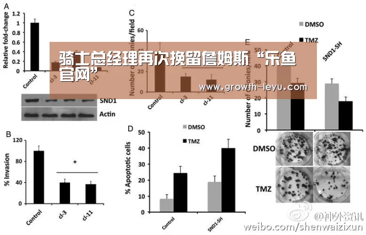 骑士总经理再次挽留詹姆斯“乐鱼官网”(图3) 乐鱼官网